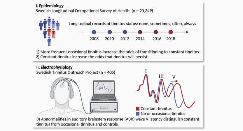 Lees meer over het artikel Veranderingen in auditieve hersenstamrespons onderscheiden incidentele en constante tinnitus